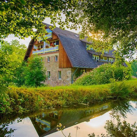 Hotel Frankenschleif Waldmünchen Екстериор снимка