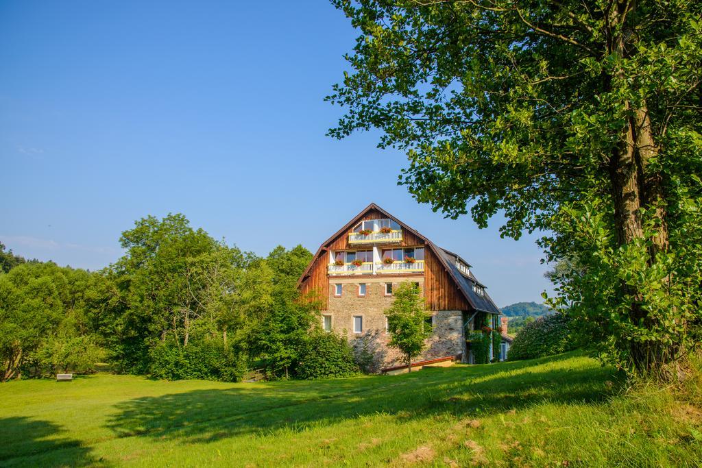 Hotel Frankenschleif Waldmünchen Екстериор снимка